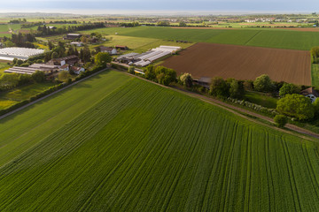 Luftaufnahme einer Gewächshausanlage einer Gemüsegärtnerei