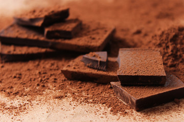 pieces of chocolate in cocoa.