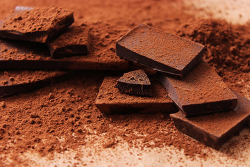 pieces of chocolate in cocoa.