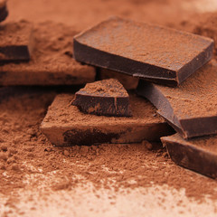 pieces of chocolate in cocoa.
