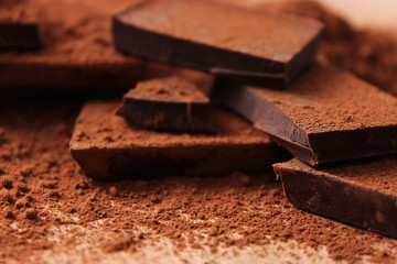 pieces of chocolate in cocoa.