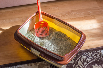 Plastic scoop in a cat litter box, standing on a floor.