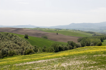 Fototapeta na wymiar Italian landscape with green fields in spring, holidays in Italy in Umbria and Tuscany. Travel drive in the Tuscany countryside with soft green hills and blue skies. Calm and relax holidays in Italy