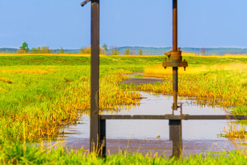 Fototapeta premium Spring landscape in the countryside