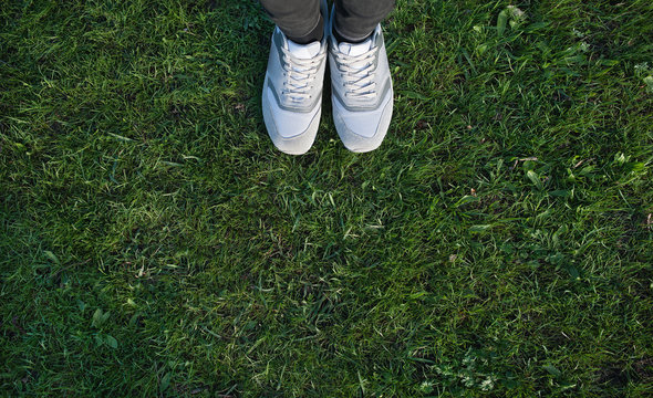 Sports shoes sneakers on fresh green grass. Top view.