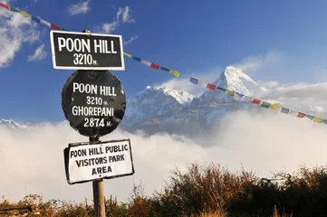 Photo sur Plexiglas Dhaulagiri Parc public des visiteurs de Ponn Hill, Ghorepani, massif du Dhaulagiri, Himalaya Népal.