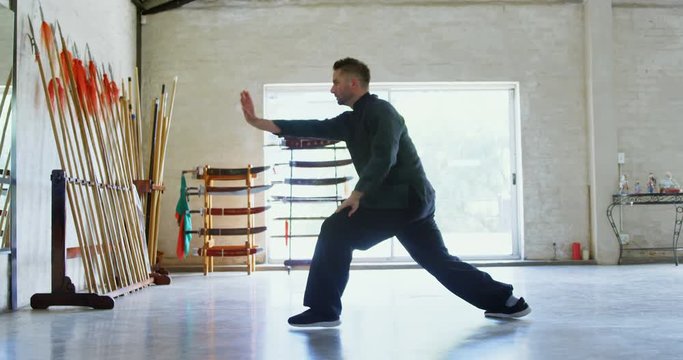 Kung fu fighter practicing martial arts 