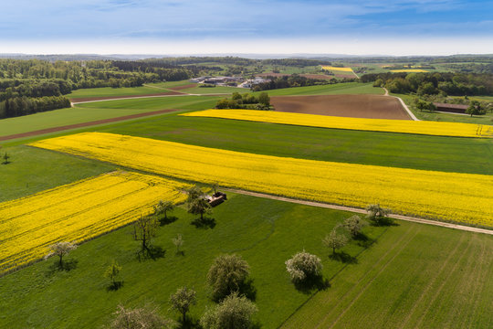 Luftbild bl&uuml;hende Rapsfelder im Fr&uuml;hling