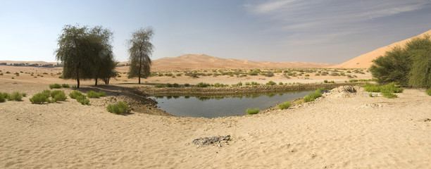 Oasis in the desert