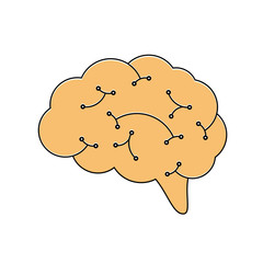 Human brain with neurons. 