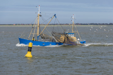 Fishing boat on the Wadden Sea near the island Ameland.