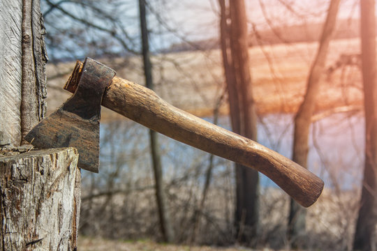 Dirty hatchet in tree