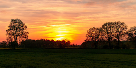 Zachód słońca nad drzewami.