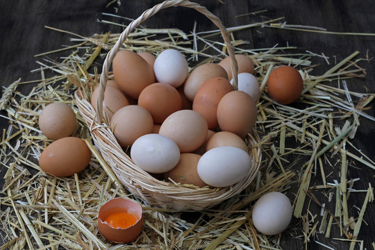 Sepet içerisinde tavuk yumurtaları 