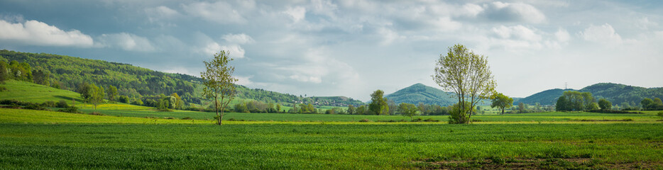 Un panorama à la campagne avec deux arbres au milieu des prés
