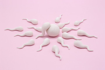 Handmade Polymer Clay Figure of Human Sperm Impregnate a Fertile Human Egg