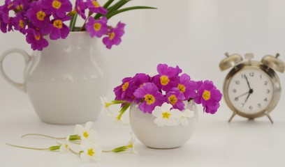 Bouquet of first spring flowers in white vase and alarm clock on white background.