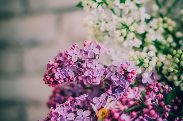 Fototapeta premium A bouquete with white and purple lilac closeup