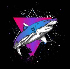 shark in a triangle. abstract drawing. vector illustration.