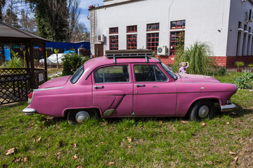 Old pink car in the yard