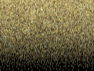 grain texture, vector abstract illustration