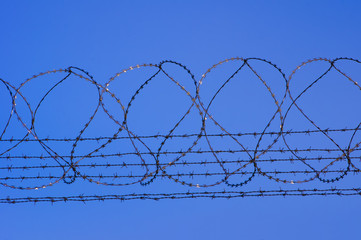 barbed wire and fence for security at airport or prison. blue sky in background
