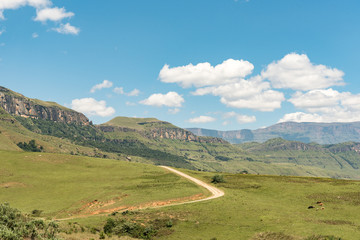 Obraz premium Road to Injisuthi in Giants Castle section, Maloti Drakensberg Park