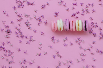 Colored macaroons and lilacs.