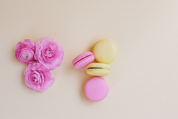 Macaroons and ranunculus on a yellow background.