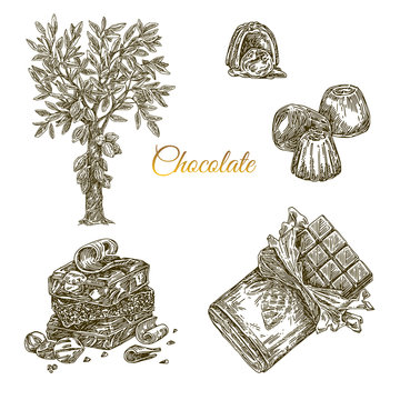 Set of chocolate. Cocoa tree, bonbons, stack and packing chocolate bar. Engraving style. Vector illustration.