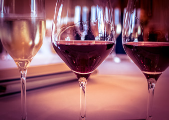 Wine Glass Tasting at Vineyard