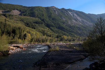 Fototapeta na wymiar Carbon River Vista