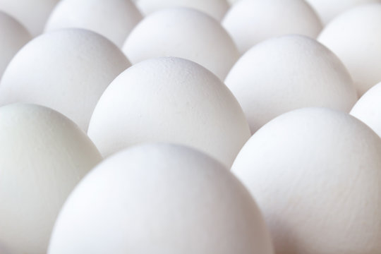 Set of white chicken eggs in paper tray closeup