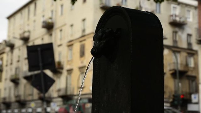 Turin, Piedmont region, Italy. May 2018. The symbolic fountain of Turin, the torello or turet in Piedmontese. They are found in every corner of the city, almost always colored green, sometimes gray