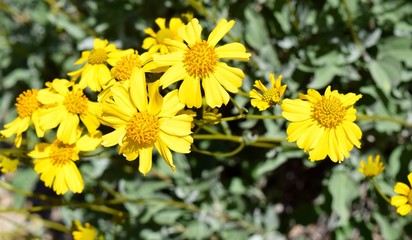 Welcoming the Warmth of Spring