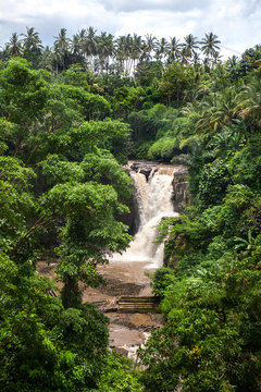 Tropical Waterfall In Rain Forest, Bali Indonesia.