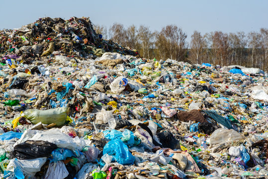 household and grocery and construction garbage in the general heap