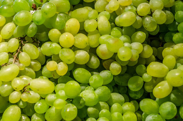 Fresh white grapes