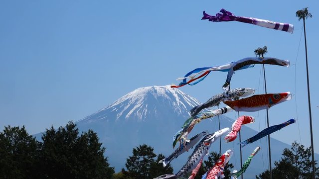 富士山と鯉のぼり・4K