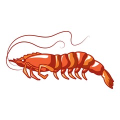 Long shrimp icon. Cartoon of long shrimp vector icon for web design isolated on white background