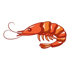 Ocean shrimp icon. Cartoon of ocean shrimp vector icon for web design isolated on white background