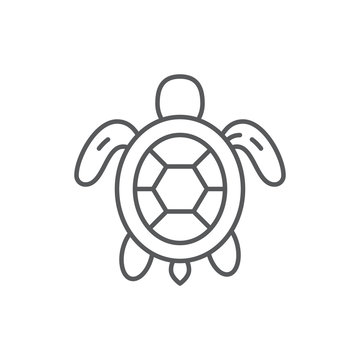 Turtle sea and ocean wildlife or aquarium marine animal editable outline icon.
