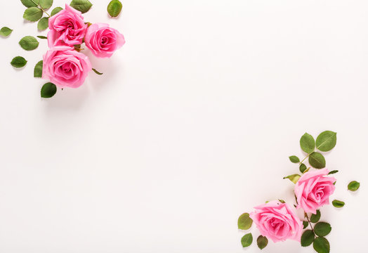 Pink roses with green leaves top view flat lay