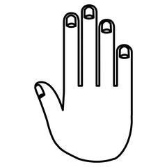 hand human isolated icon vector illustration design