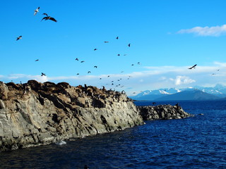 Rocks and the sea