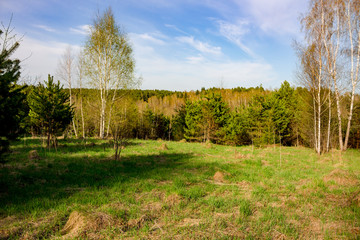 View of the virgin nature in the spring, Kaluzhskaya region, Russia