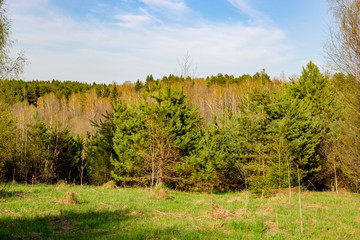 View of the virgin nature in the spring, Kaluzhskaya region, Russia