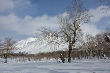 Fototapeta na wymiar Kamchatka 