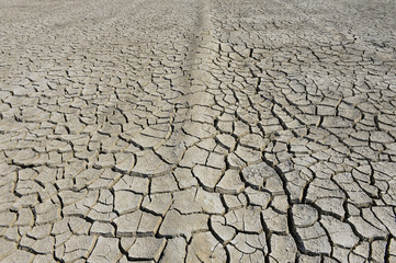 The parched soil