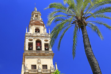 Fototapeta na wymiar Cordoba bell tower of Cathedral of Our Lady of the Assumption, Spain